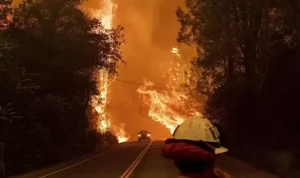 Petugas berupaya memadamkan api di California, AS