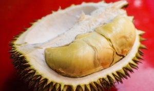 Ilustrasi Khasiat Minum Air Kulit Durian