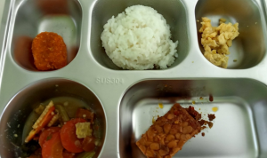 Keracunan Makan Bergizi Gratis