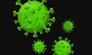 Ilustrasi Virus HMPV