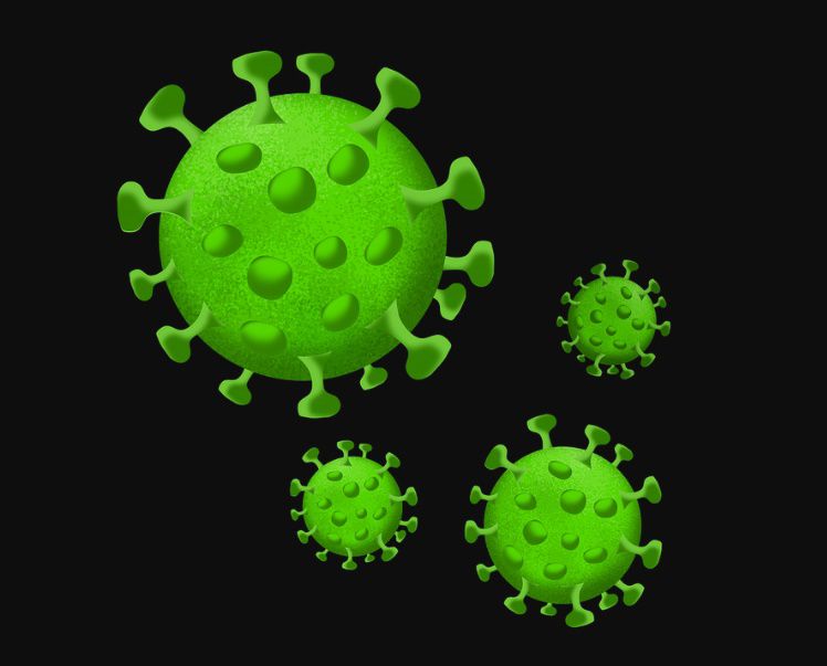 Ilustrasi Virus HMPV