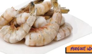 Ilustrasi Udang