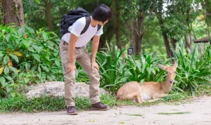 Apa Itu Zoophobia dan Bagaimana Cara Mengatasinya