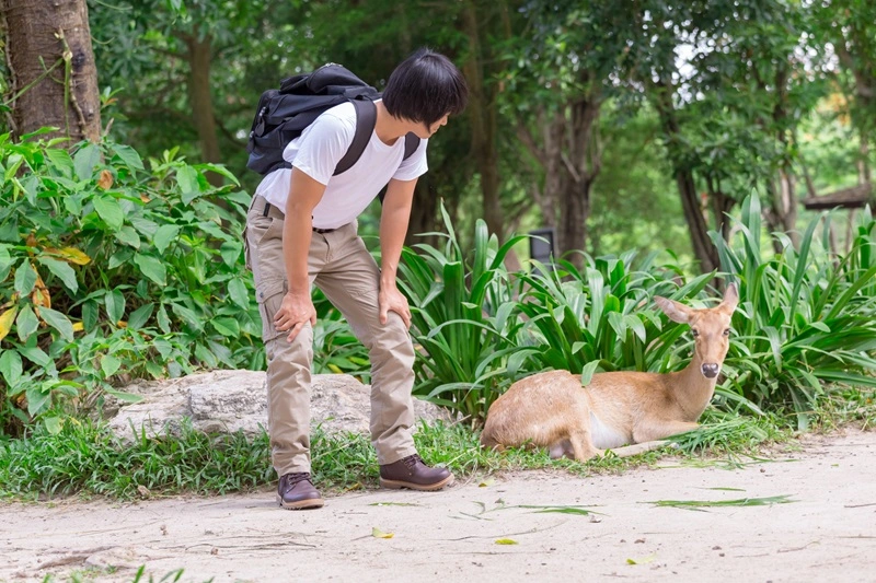 Apa Itu Zoophobia dan Bagaimana Cara Mengatasinya