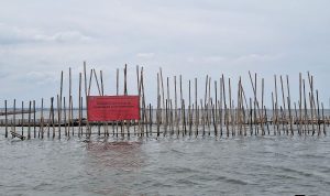 Direktorat Jenderal Pengawasan Sumber Daya Kelautan dan Perikanan (PSDKP) melakukan penyegelan terhadap pagar laut