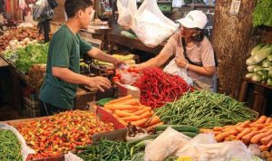 Harga Pangan Berfluktuasi, Cabai Rawit Merah Turun dan Daging Ayam Ras Naik di Januari 2025