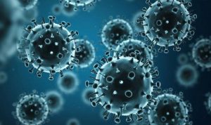 Ilustrasi Virus flu burung