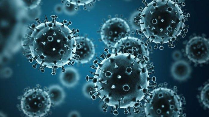 Ilustrasi Virus flu burung