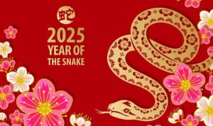 Imlek 2025, Shio Ular Kayu Tahun Keberuntungan dan Transformasi