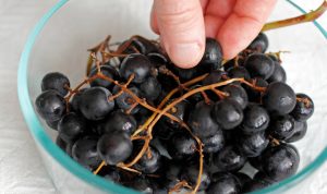 Manfaat Anggur Hitam untuk Kesehatan, Menjaga Imunitas hingga Mencegah Kanker