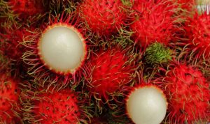 Manfaat Makan Rambutan untuk Kesehatan