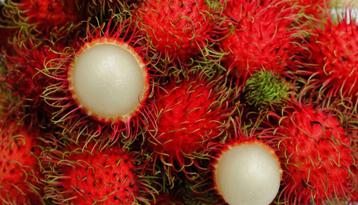 Manfaat Makan Rambutan untuk Kesehatan