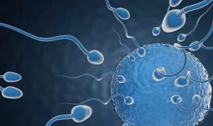 Sperma Tidak Sehat Jadi Penyebab Sulit Hamil, Kenali Ciri dan Penyebabnya