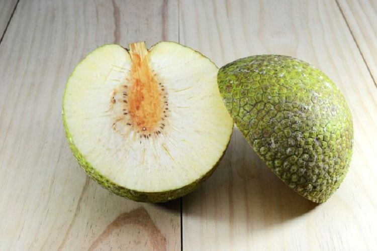 Sukun untuk Ibu Hamil, Manfaat dan Nutrisi yang Perlu Diketahui