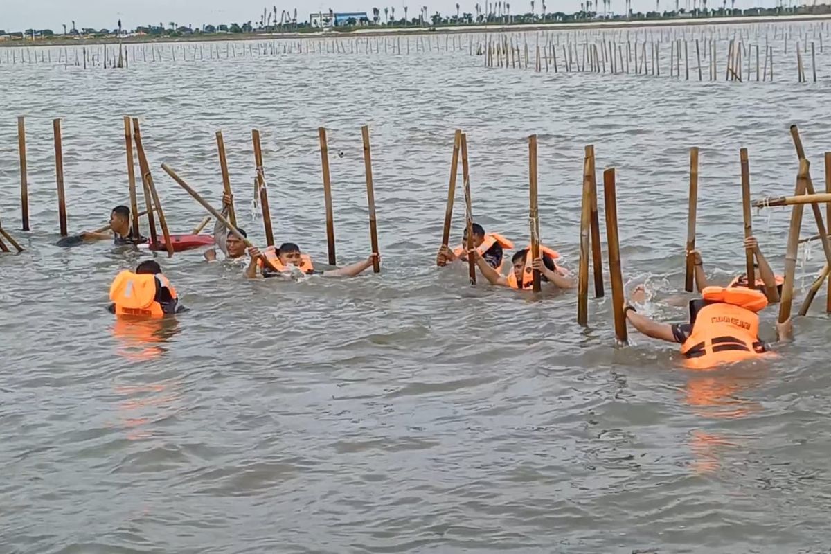 TNI Angkatan Laut membongkar pagar laut yang terbentang di perairan Tanjung Pasir