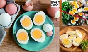 Telur dan Kesehatan Jantung: Manfaat yang Perlu Anda Ketahui