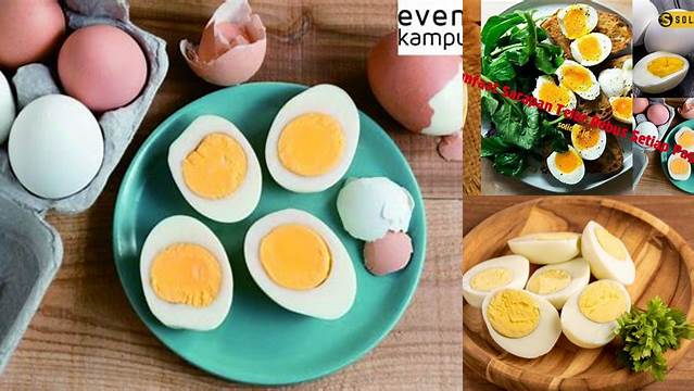 Telur dan Kesehatan Jantung: Manfaat yang Perlu Anda Ketahui