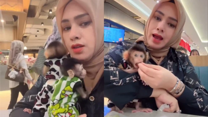 Viral di TikTok Emak-Emak Bawa Monyet ke Mall, Teguran Satpam Malah Berujung Drama