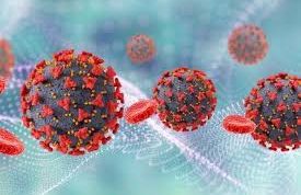 Virus HMPV Terdeteksi di Indonesia, Publik Diimbau Tetap Waspada