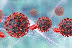 Virus HMPV Terdeteksi di Indonesia, Publik Diimbau Tetap Waspada