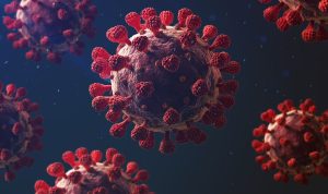 Virus Paling Mematikan yang Pernah Mengancam Dunia