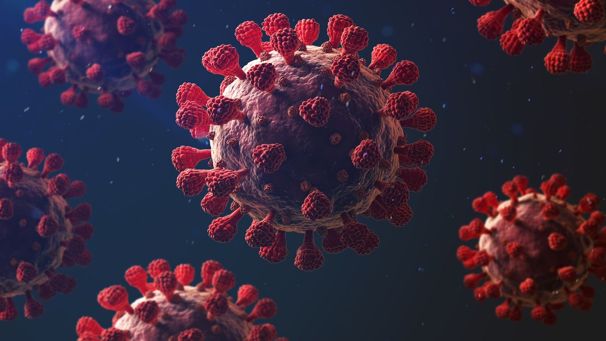 Virus Paling Mematikan yang Pernah Mengancam Dunia