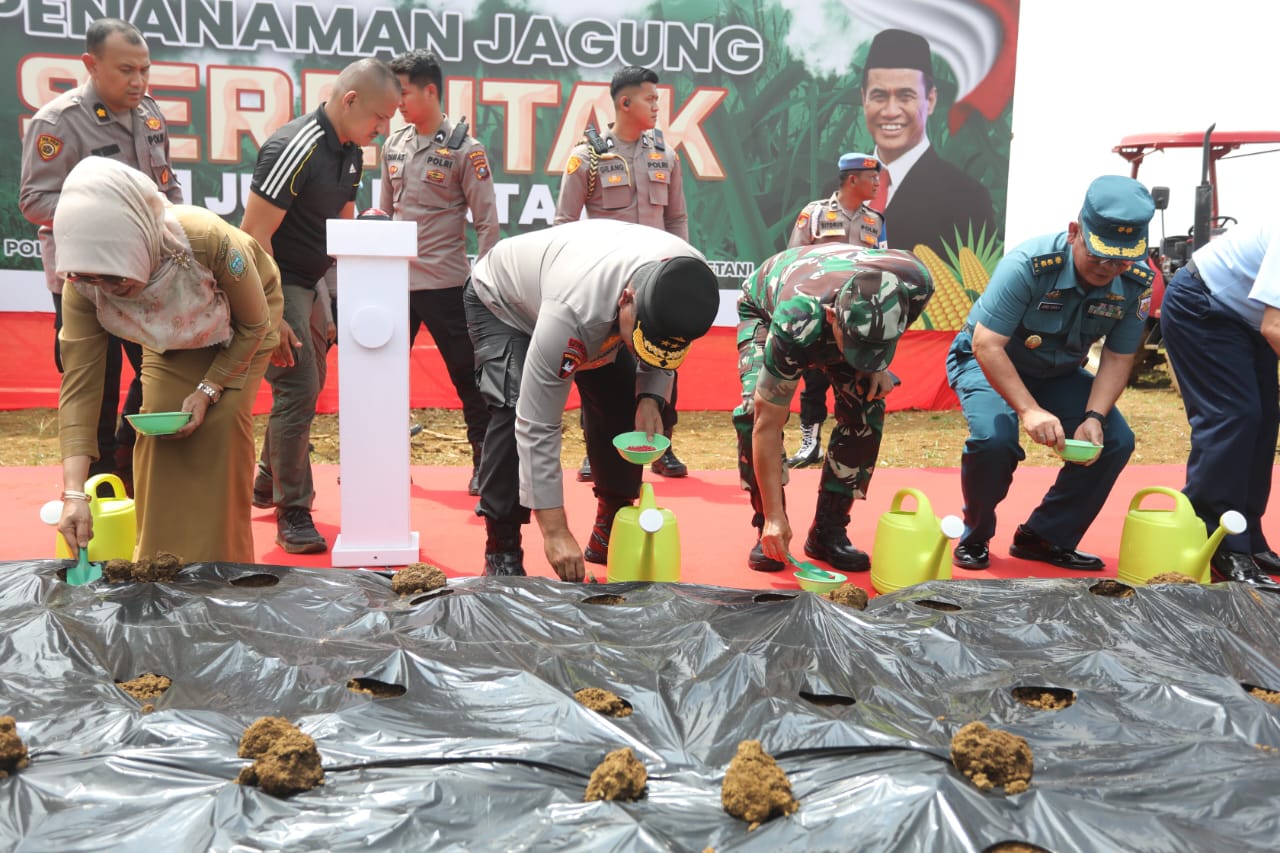 Kapolda Sumut, Irjen Pol Whisnu melakukan kegiatan menanam jagung.(Istimewa)