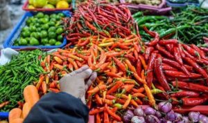 Harga Pangan Strategis Nasional Tercatat Stabil, Telur Ayam Ras dan Cabai Rawit Merah Masih Maha