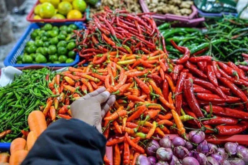 Harga Pangan Strategis Nasional Tercatat Stabil, Telur Ayam Ras dan Cabai Rawit Merah Masih Maha
