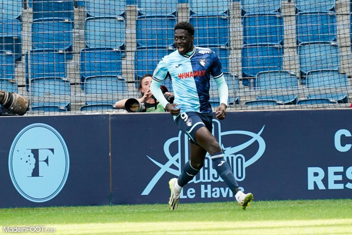 Prediksi Skor Reims vs Le Havre, Liga Prancis Musim 2024/2025, 19 Januari 2025