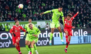 Prediksi Skor Hoffenheim vs Wolfsburg, Liga Bundesliga Musim 2024/2025, 11 Januari 2025