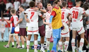 Prediksi Skor Mainz vs Bochum, Liga Bundesliga Musim 2024/2025, 11 Januari 2025