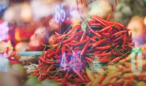 Harga Pangan Hari Ini: Beras, Telur, dan Cabai Mengalami Fluktuasi