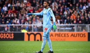Prediksi Skor Reims vs Nice, Liga Prancis Musim 2024/2025, 12 Januari 2025