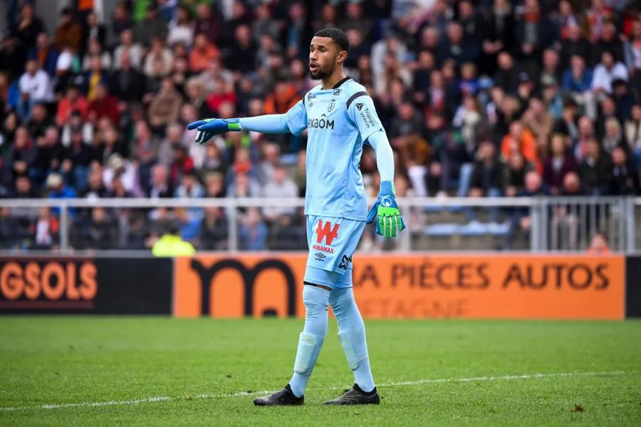 Prediksi Skor Reims vs Nice, Liga Prancis Musim 2024/2025, 12 Januari 2025
