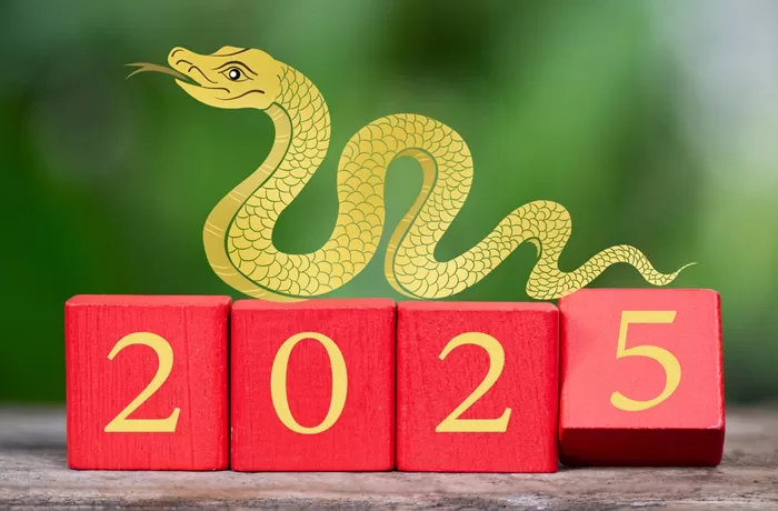 Sektor Bisnis yang Diprediksi Beruntung di Tahun Ular Kayu 2025
