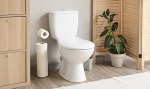 Perbandingan Toilet Jongkok dan Toilet Duduk, Mana yang Lebih Sehat untuk Buang Air Besar?