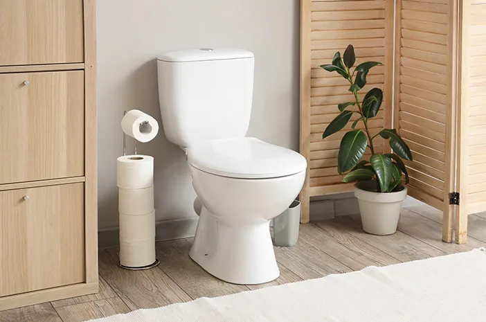 Perbandingan Toilet Jongkok dan Toilet Duduk, Mana yang Lebih Sehat untuk Buang Air Besar?
