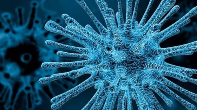 Wabah HMPV Serang China: Virus Pernapasan Memicu Kekhawatiran, Apa Dampaknya?