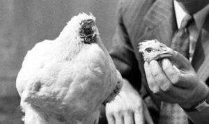 10 Fakta Sains Menarik yang Jarang Diketahui