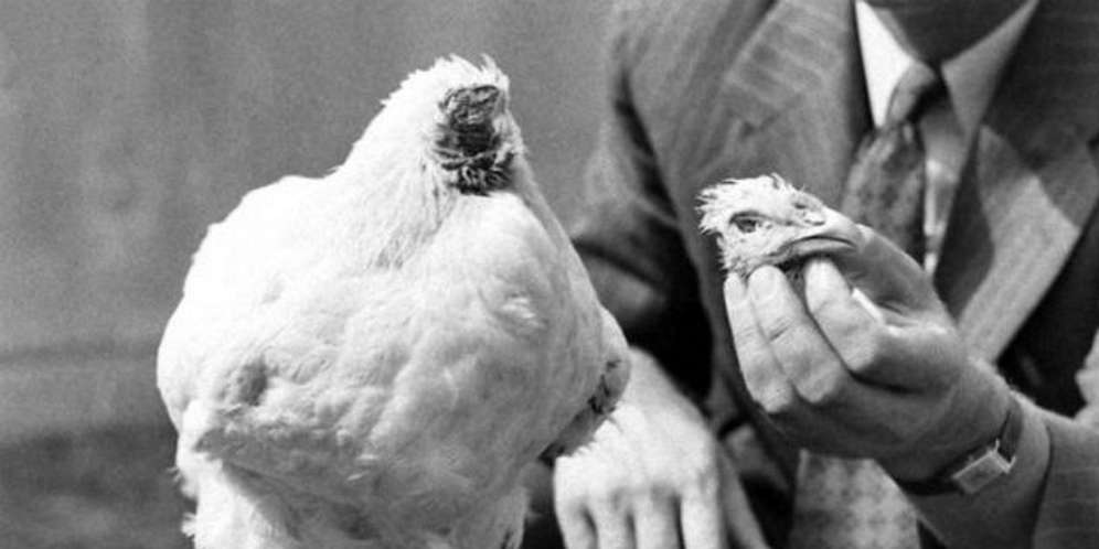 10 Fakta Sains Menarik yang Jarang Diketahui