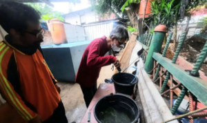 Juru pemantau jentik (Jumantik) tengah mengecek jentik nyamuk di wilayah Jakarta Timur