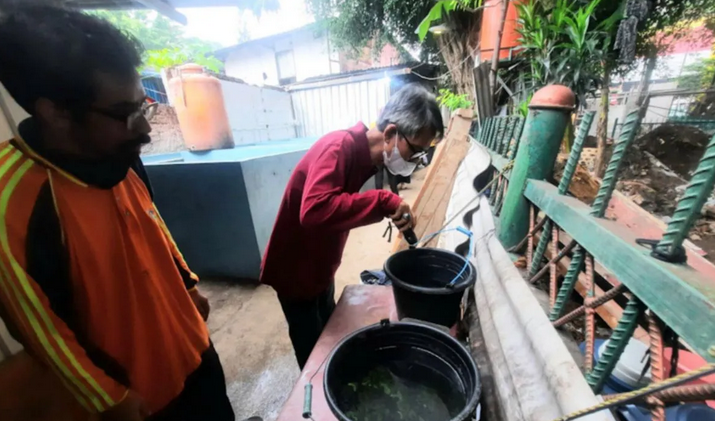 Juru pemantau jentik (Jumantik) tengah mengecek jentik nyamuk di wilayah Jakarta Timur