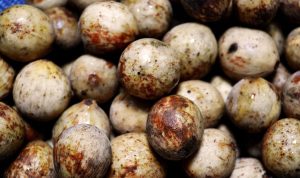 buah duku