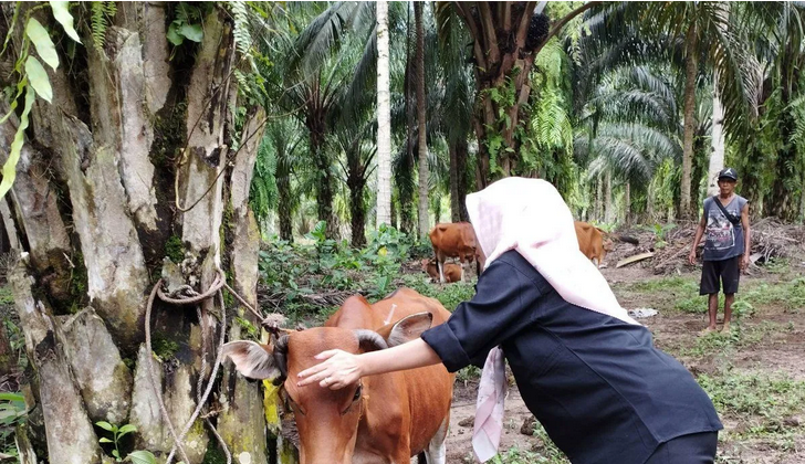 Petugas Dinas Ketahanan Pangan dan Pertanian Kota Bengkulu