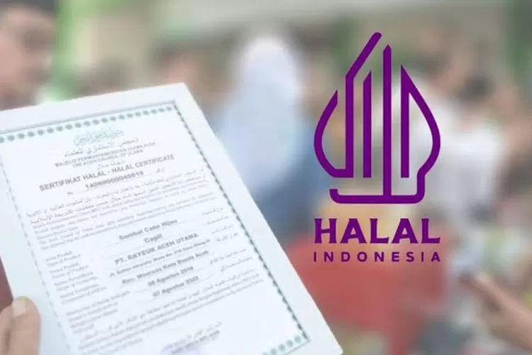Dugaan Pungli Sertifikasi Halal Terungkap, Biaya Capai Miliaran!