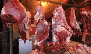 Harga Daging Sapi dan Ayam Naik Jelang Ramadan, Melebihi HET di Beberapa Daerah
