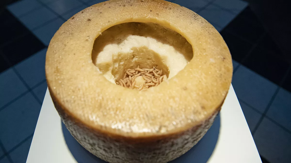 Makanan Teraneh di Dunia yang Wajib Kamu Ketahui, Ada yang Dibuat dengan Ketiak!