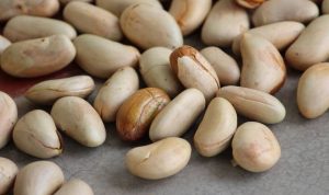 Manfaat Biji Nangka untuk Kesehatan, Bisa Menurunkan Kolesterol hingga Mencegah Kanker