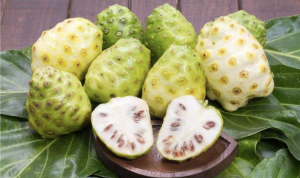 Manfaat Buah Mengkudu untuk Kesehatan, Baik untuk Kolesterol hingga Diabetes